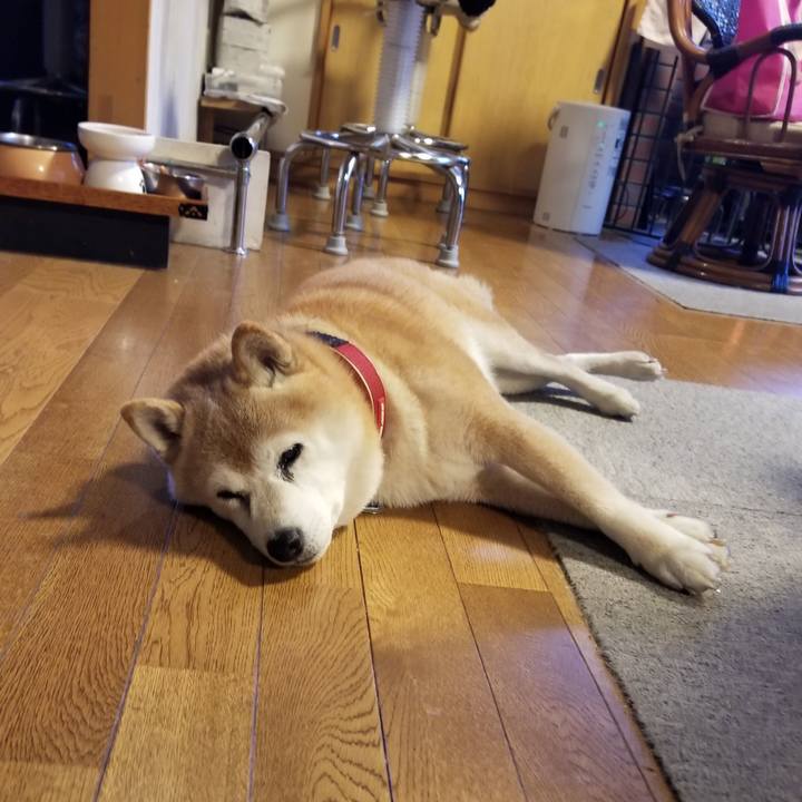 21c1462e 8fbf 41e2 aad8 42ad3200e8d4 1734418933577