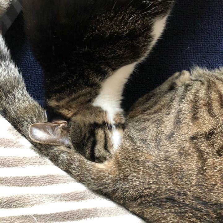 21c14f42 6330 4eb1 83b8 32d802646988 1614377964968