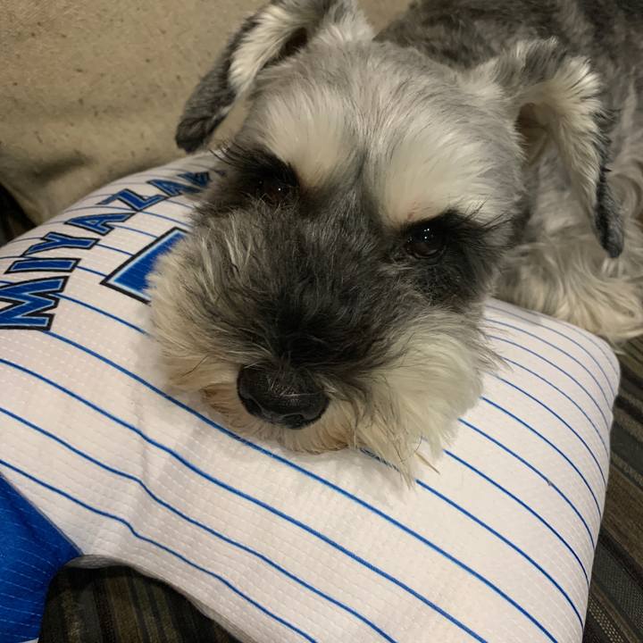 21c151c5 ad48 4e17 a5a9 4c7e9913ea69 1599562295874