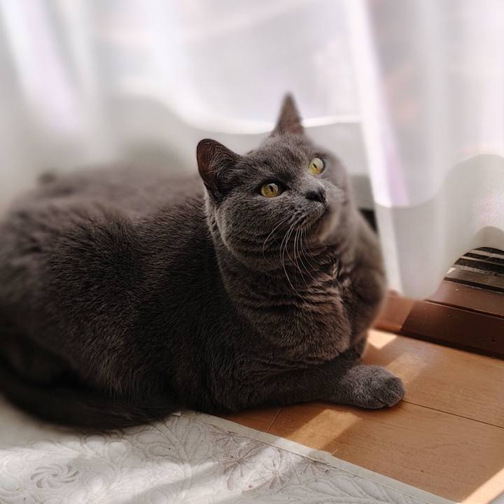 21c16bc7 6f8d 4386 98e0 282090a27d21 1773551629447