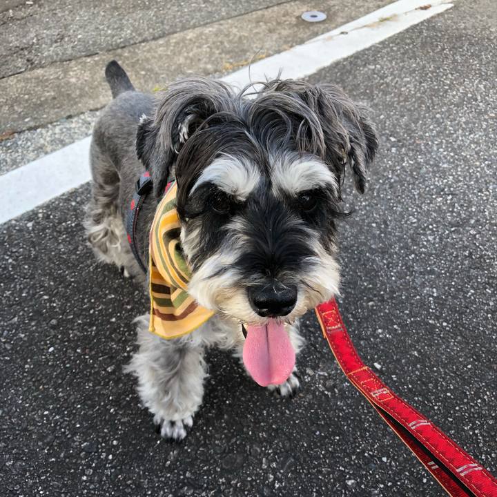 21c1a0ad ed08 46bc 86ad 3f8439228f3d 1656709307047