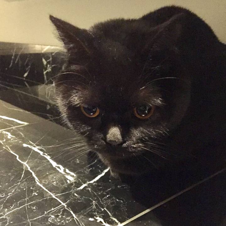 21c22aa4 eb13 4f6c a1d5 159841cb93ca 1551794700991