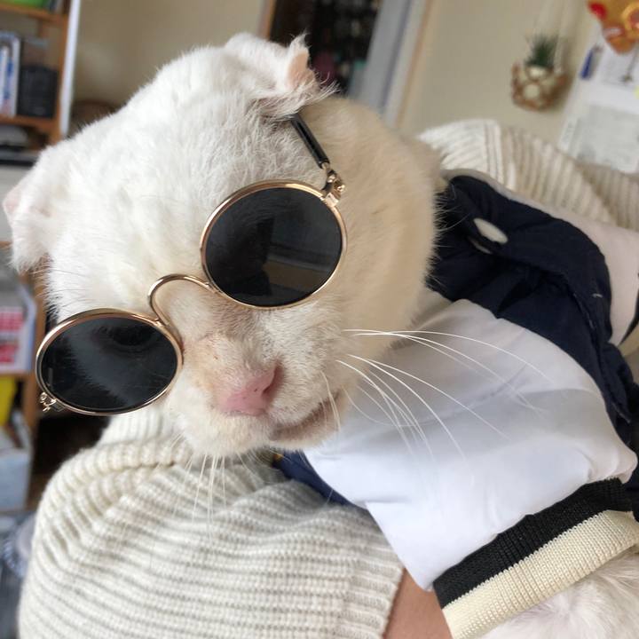 21c2404c d8c5 4f28 9aca b8e1b7b34f10 1579101013921