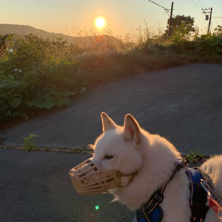 21c2874d 72be 45a1 891b 5b4965a852c2 1624395729320