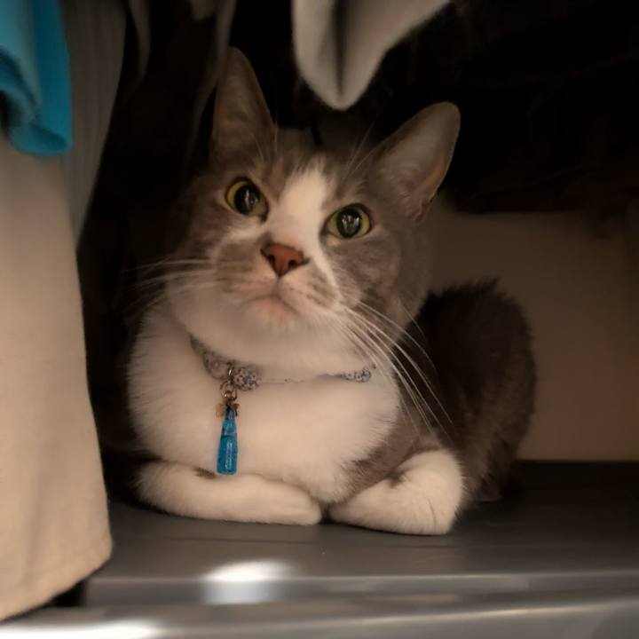 21c29c4a e0e2 4f4a af03 2b8c39d5c7e8 1755509884743