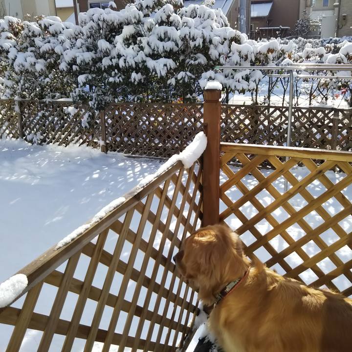 21c2dce9 519d 4502 9129 7a2c4422b4aa 1548463587726