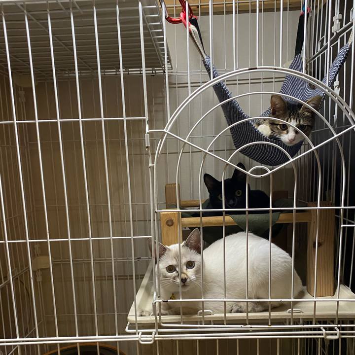 21c2edb2 c9b0 4526 b73c df982174da67 1634464685841