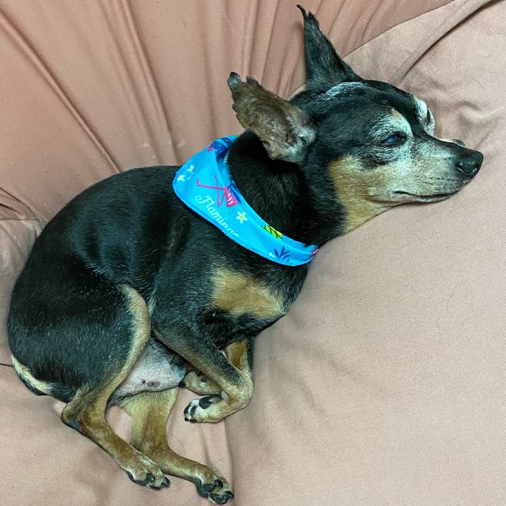 21c3041a c928 4525 9bb6 50ebb258817c 1595599165269