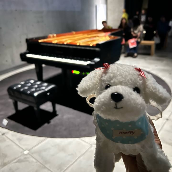 21c31cf3 6149 4917 b708 db30d50e55ad 1759211671701