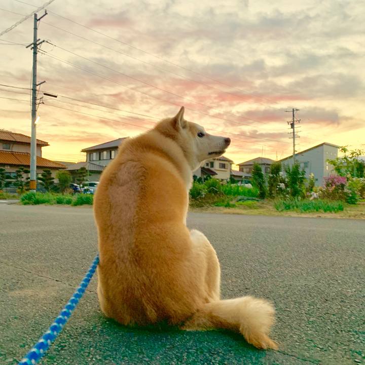 21c32e72 df0c 4830 ada4 d670c853bcb9 1554561799927