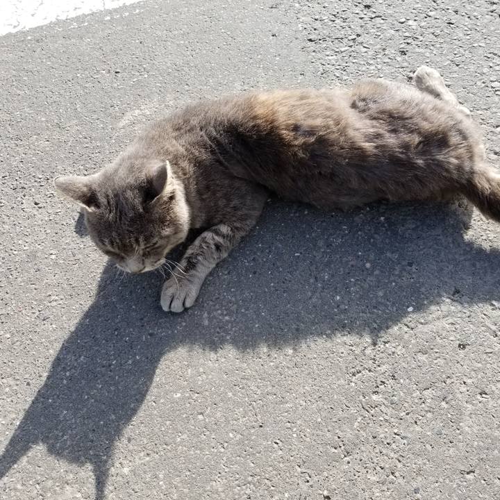 21c338b3 7a86 47e5 9583 c24d8684e33d 1536155139199