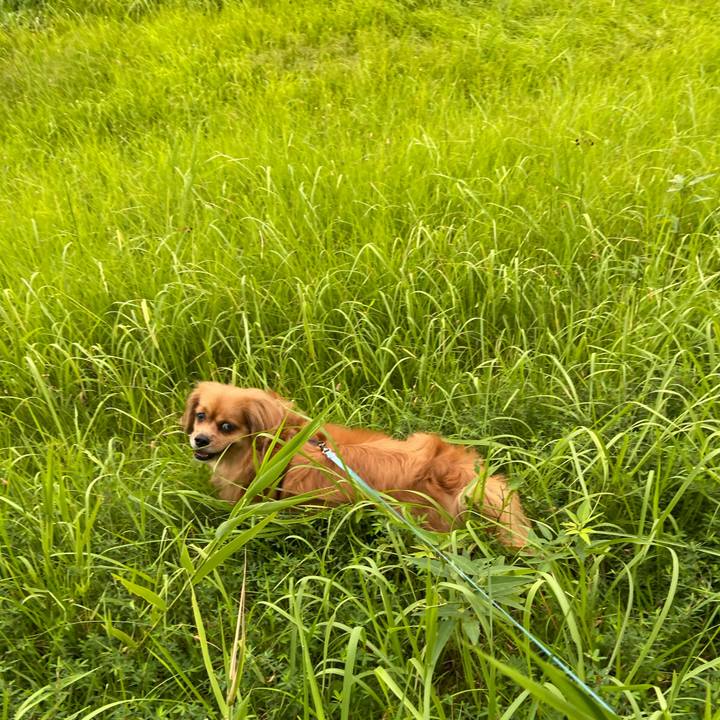 21c362d0 bcab 4995 b242 b1269d712cb2 1598564651738