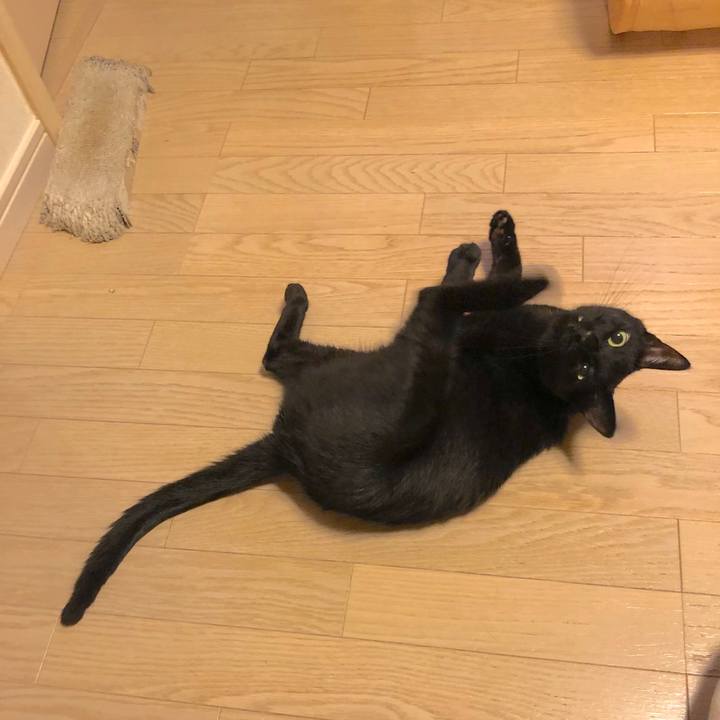 21c3bf1b fb8f 4a75 b9ff 61b507b3e8e5 1562336249726