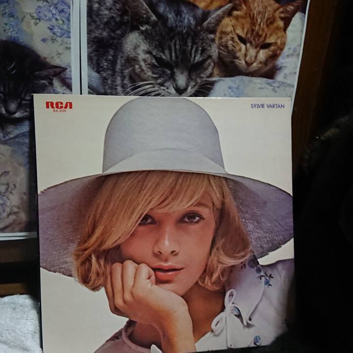 21c41aea a599 42b7 92a6 6582959bfb13 1623581951846