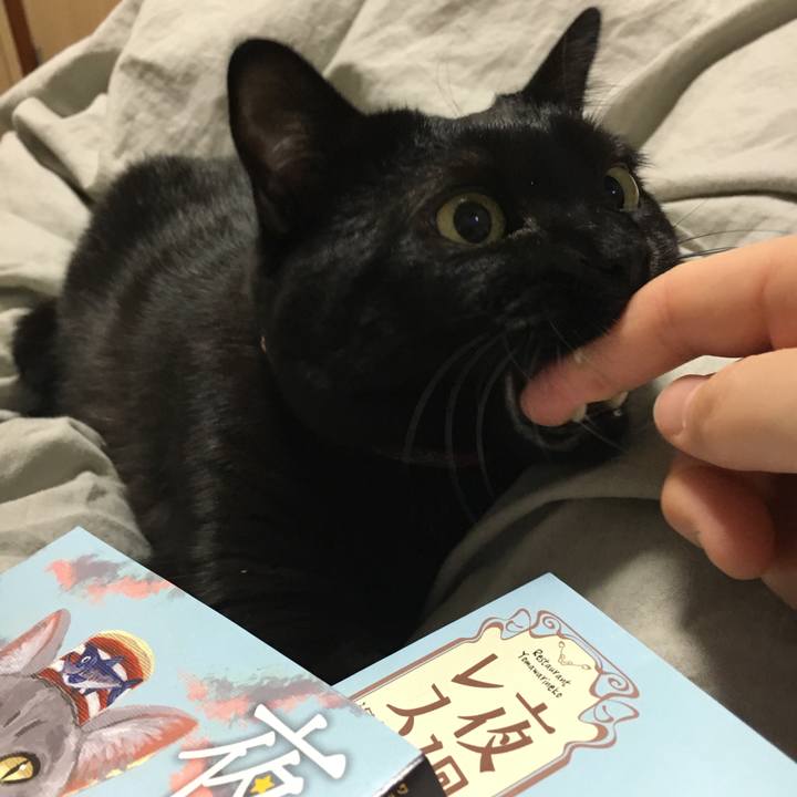 21c420e6 a9dc 49d3 a674 509f5fa07feb 1511359844241