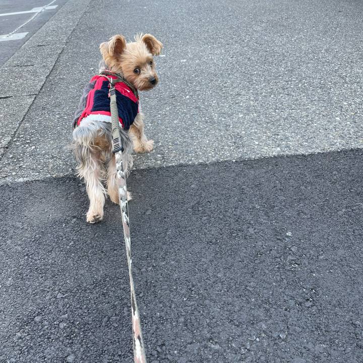 21c42c41 c040 43d1 b0c5 bb103ffe3882 1762682631914