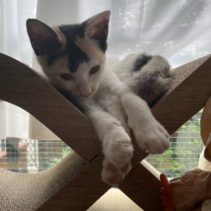 21c4367c 3add 4bc4 84e8 1814e152c43b 1662680104811