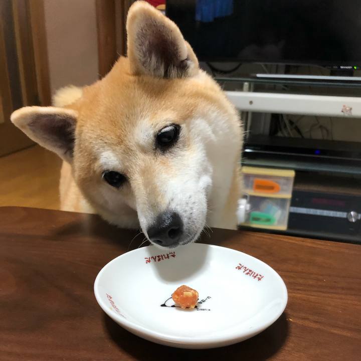 21c436a9 03e4 4d88 8afa 5d526d3730f2 1571065549609