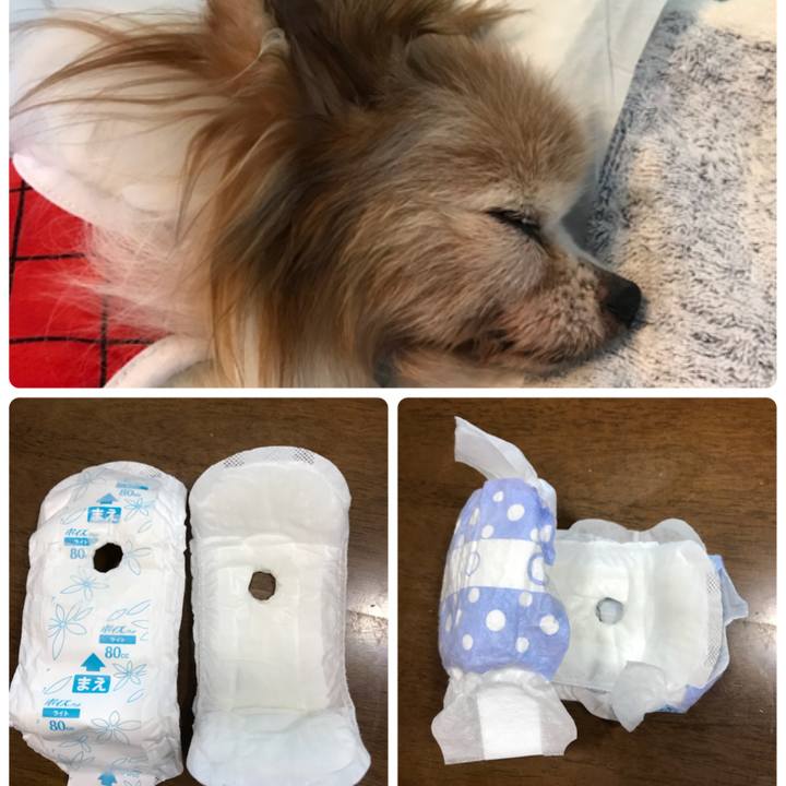 21c4a317 0e8d 402a b54c 611389ea5a71 1529293241019