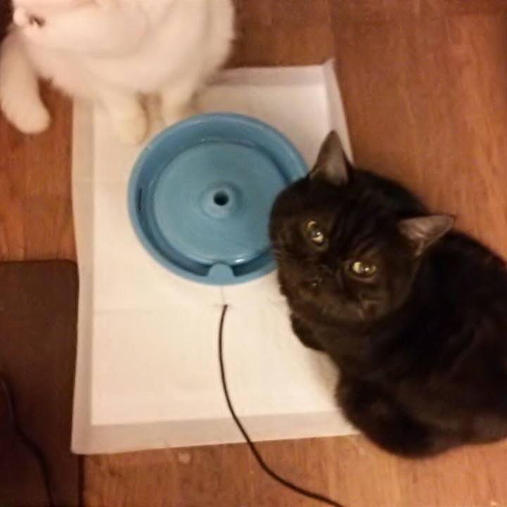 21c4ed87 ebd7 4a11 a107 3e3141325a50 1544912465748