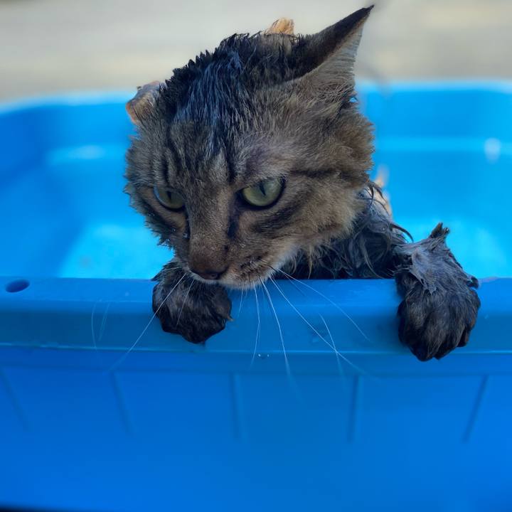 21c4f944 a81f 4c1b 9272 14af177fecd8 1718272231603