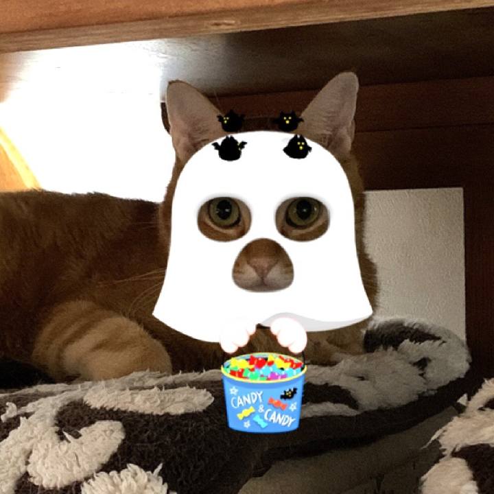 21c55c3c 8c22 4805 aaec 557fd004d492 1572299115166