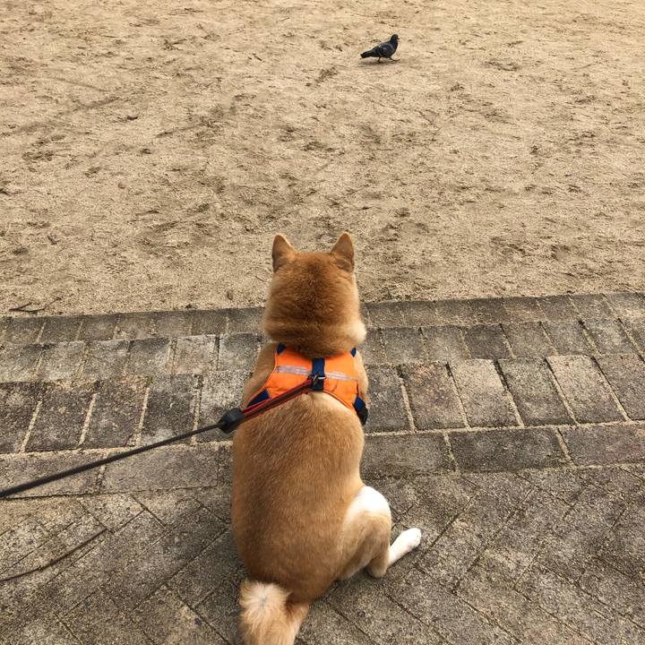 21c57b9c 8559 4426 b5fd 4b1a544c9e5c 1549532477655