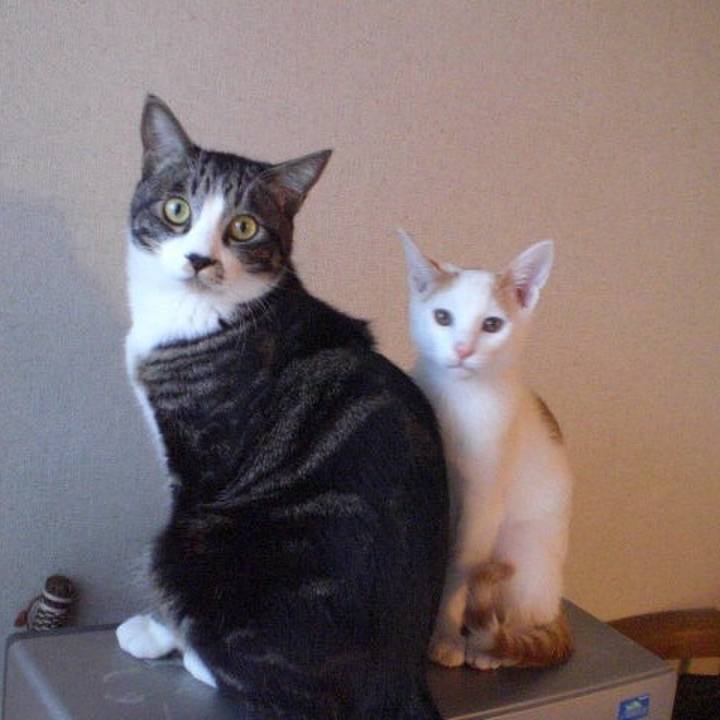 21c5a5af 4c57 4402 bdec a95131e7b3df 1567810584107