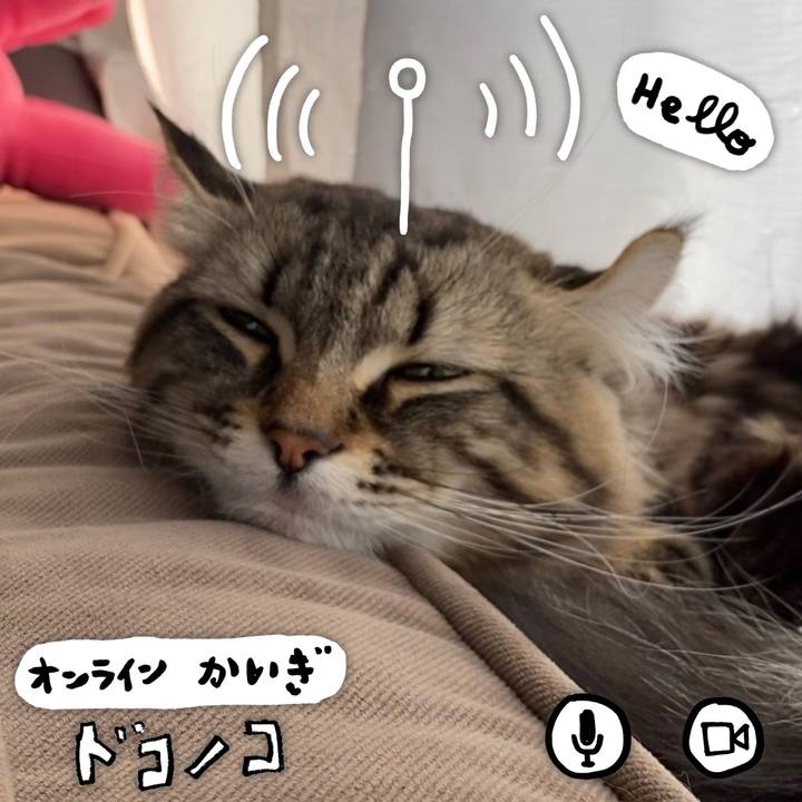 21c5afe2 3061 4c3c 88aa 0e0467acad03 1591077424966