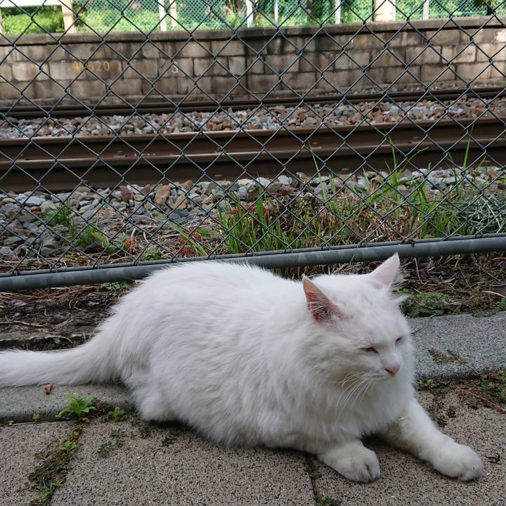 21c5b018 3ed9 4dfb a9c5 60b28e82ba67 1533680946093