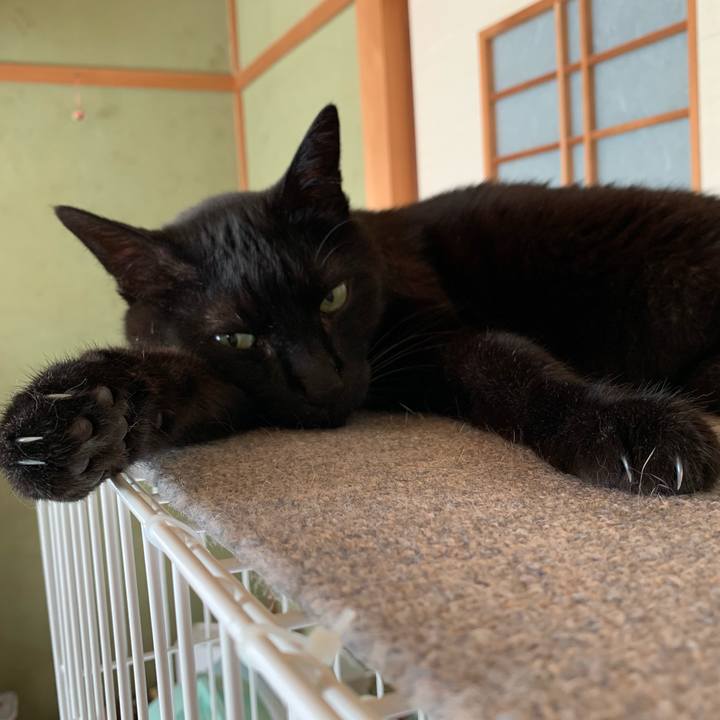 21c5c5a6 1922 4a98 b1ea 38c9ce1d7123 1560471596646