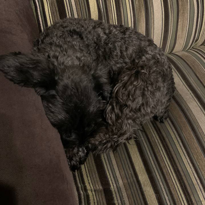 21c62f16 a5db 4ced 8a58 bdda487ea111 1638279895387