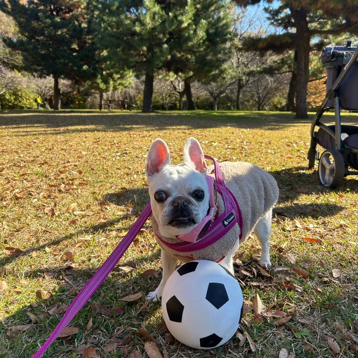 21c6484b 4aee 4052 8646 64940f598ae4 1763793997106