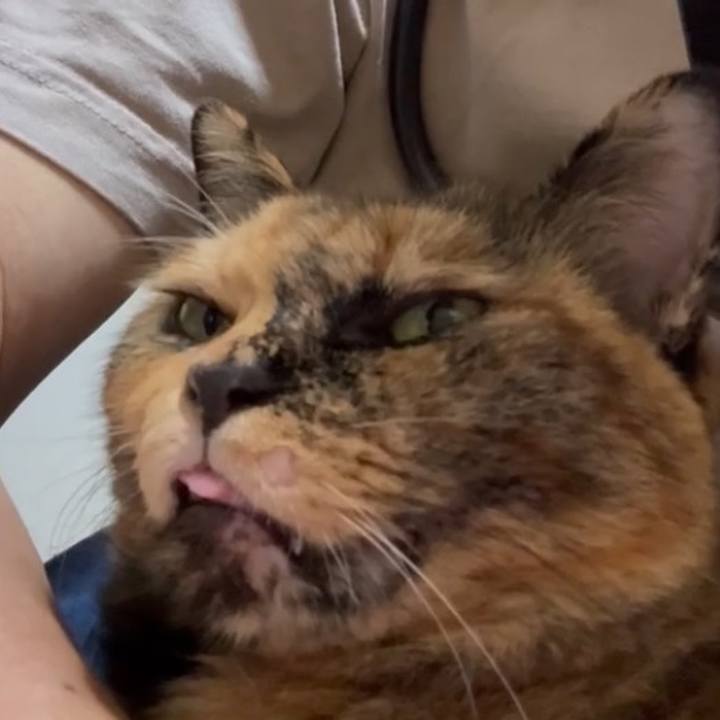 21c708cf 3f0c 4a2b 8fc1 6f35d4dd96f5 1760760259764