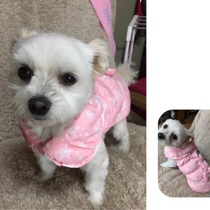 21c70dad 7c9b 45f7 ba80 f5d6aeabec35 1544350791852