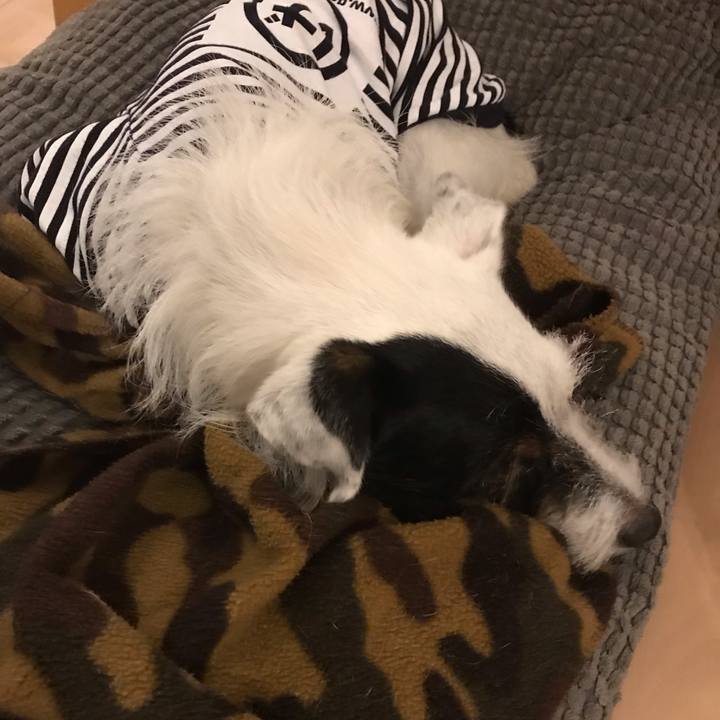 21c72661 6fa4 4957 bd8f 4cecadf47418 1540817563525