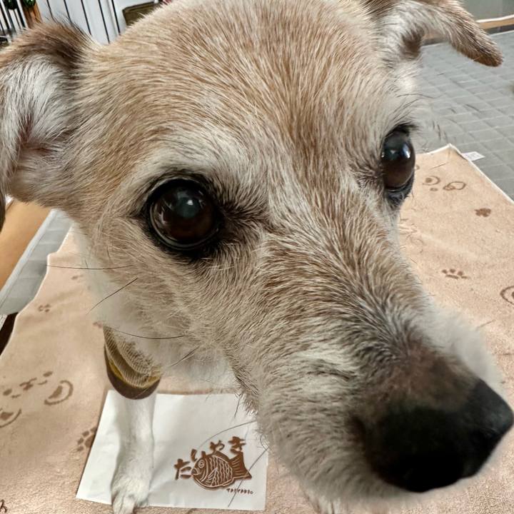 21c727c8 4308 40ee 8b7f 04a9e9ffb7fe 1739268954639