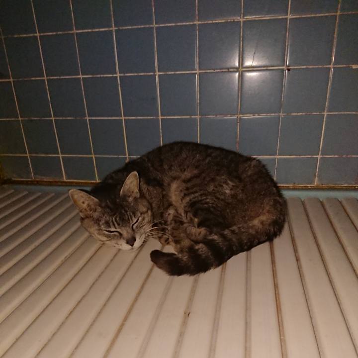 21c729e1 4218 43d6 aa00 d2792b8f2319 1591470395077