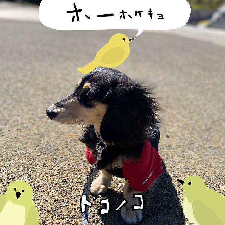 21c73959 e878 4b15 bc0e fc5d486de184 1711002322086