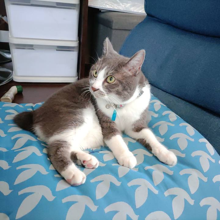 21c7806c 993c 44ab 8b8c b8d4a7bd3dc8 1721538525461