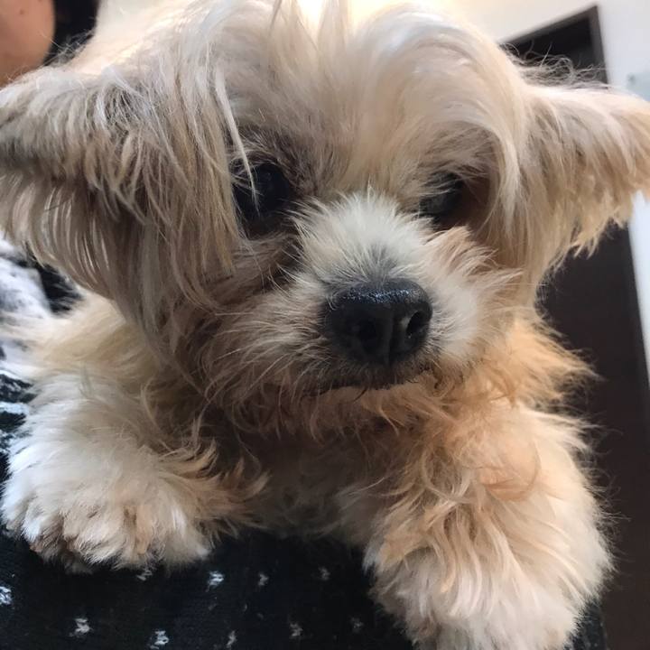 21c79a76 50ea 4ad2 ada6 8e4d3c7c74d6 1544206056921