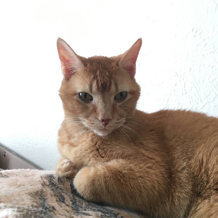 21c83766 9a42 47bf 8e81 9db77b352cd5 1637419665747