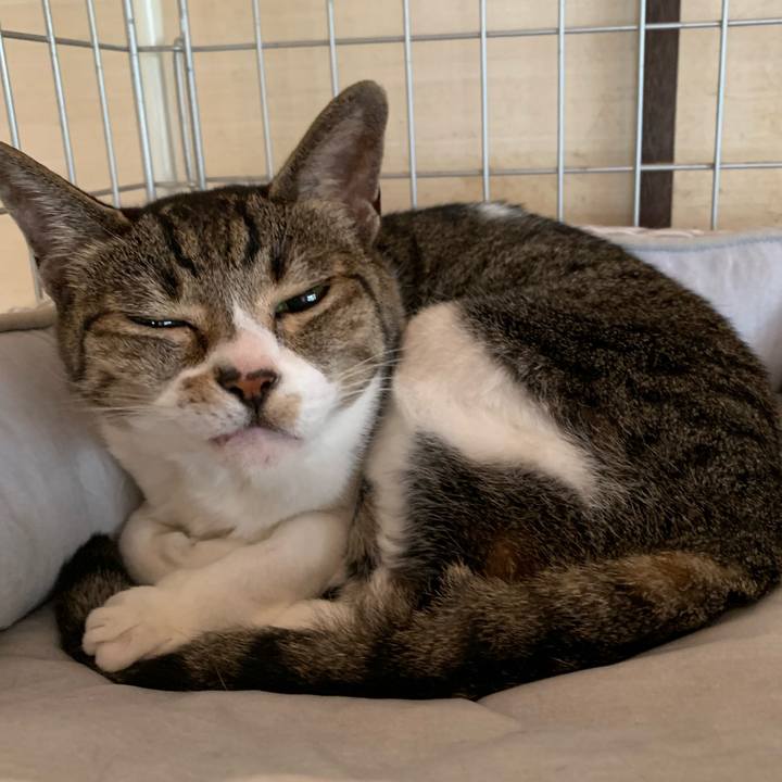 21c86e5e a1af 49c3 9e80 0267e0583007 1562461917959