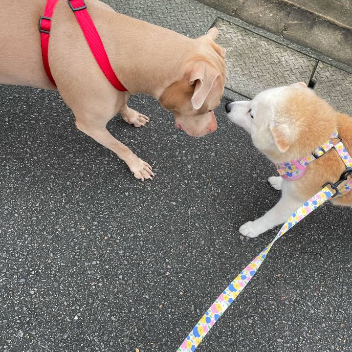 21c87bb1 208c 4621 93a1 c8a07e3ff288 1657841166692