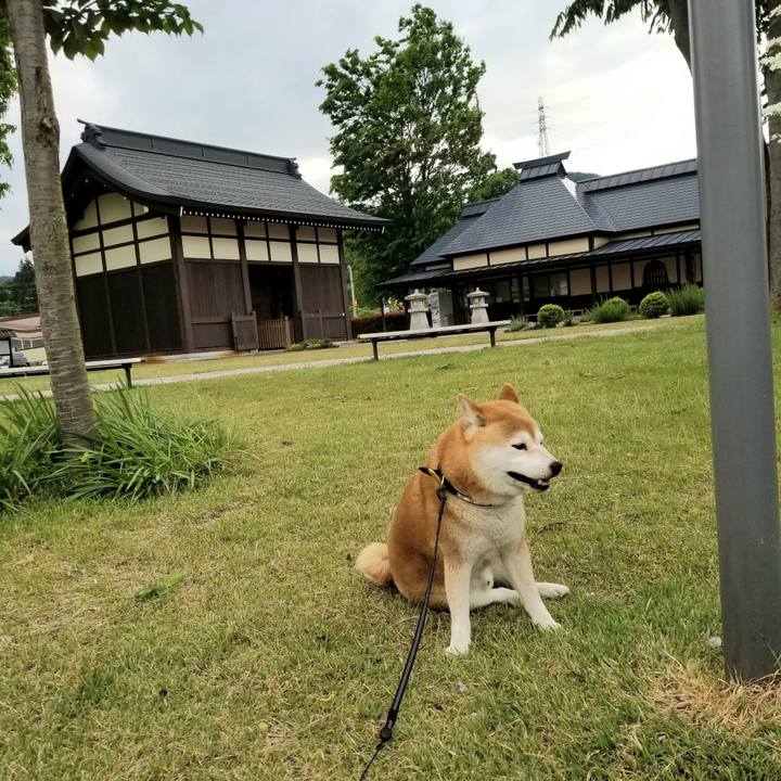 21c8d5fe 2ed4 44c1 824c 2b636ba7114c 1590222070981