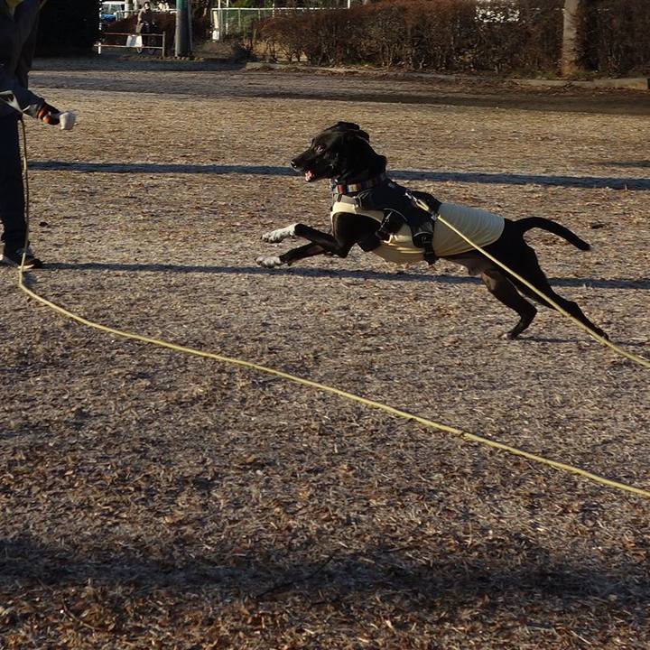 21c92b80 3040 4ad6 b954 1633b7bbb118 1643072705306