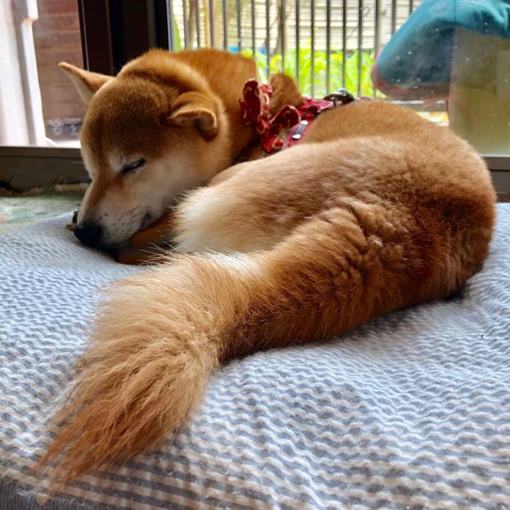 21c93c59 1a64 43a5 b94e fbc06e86d373 1526442163776