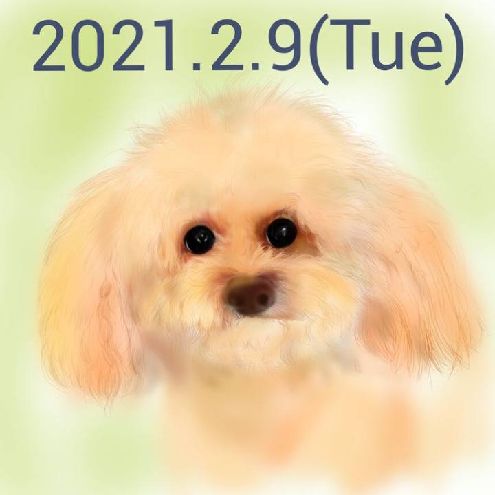 21c95e67 791b 4aab 8260 8c7e22d5395e 1612851199441