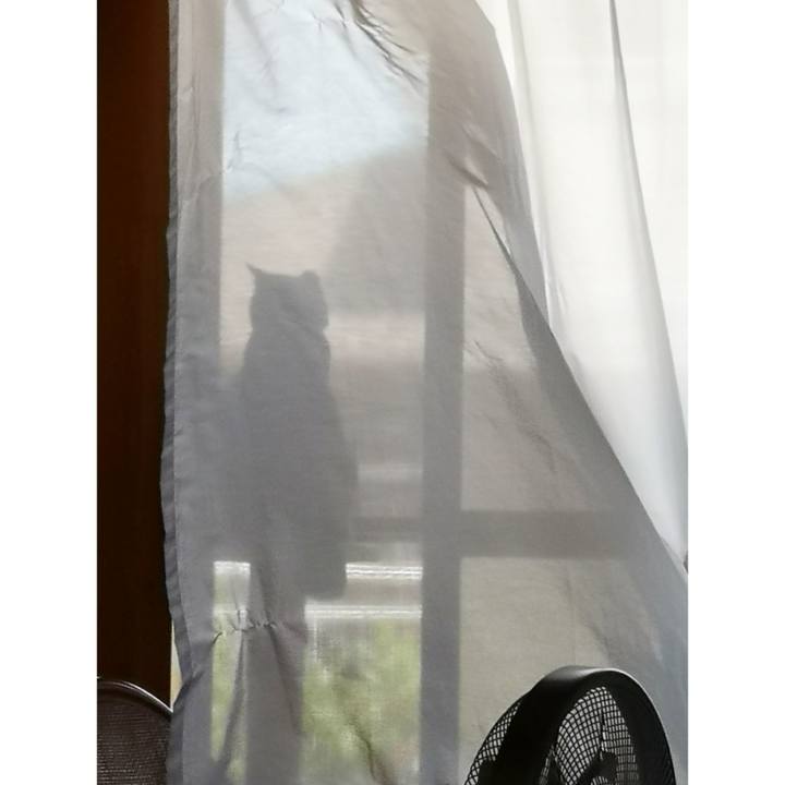 21c966e2 3bf8 4986 afaa 00fa3c91af15 1591516407776