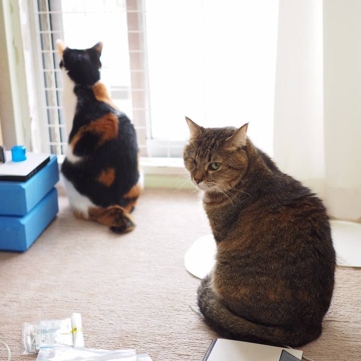 21c96b68 907c 4ff5 8719 4b08bf07a93c 1540723606493